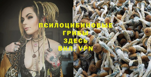 ешки Арсеньев